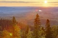 Finland forest at sunset. Koli National Park. Pielinen area Royalty Free Stock Photo