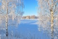 Finland. Frozen harbor of Mikkeli