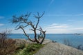 Finland,Hanko Early Summer. Scenic view of Baltic sea, and blue