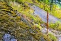 Finland, Kotka: Large granite rock covered with old green moss are an inherent part of the harsh northern nature of Scandinavia