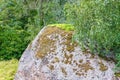 Finland, Kotka: Large granite rock in forest covered with old green moss are an inherent part of the harsh northern nature of