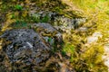 Finland, Kotka: Large granite rock in forest covered with old green moss are an inherent part of the harsh northern nature of