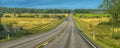 Summer highway, yellow fields with trees on the sides of the road