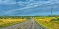 Summer highway, yellow fields with trees on the sides of the road