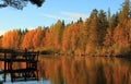 Finland, Savonia: Autumn Wood and Lake with Old Dock in Evening Sun