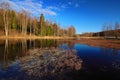 Finland taiga. Lake with forest and blue sky. Landscape from north of Europe. Royalty Free Stock Photo