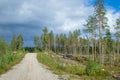 Finland. View of a scenic road passing through a forest. Beautiful Scandinavian landscape