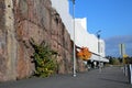 The Finlandia Hall Finlandiatalo with Fall Leaves