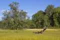 Finley National Wildlife Refuge