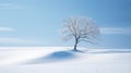 Finnish alpine landscape with frozen tree at sunrise, long exposure, soft colors, magical feeling of romantic winter