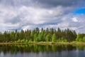 Finnish forest Royalty Free Stock Photo