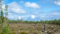 Finnish forest. A territory with cut down trees prepared for planting a young forest Royalty Free Stock Photo