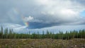Finnish forest. A territory with cut down trees prepared for planting a young forest. Rainbow Royalty Free Stock Photo