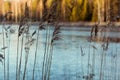 Finnish lake, hays and forest in the sun at summer Royalty Free Stock Photo