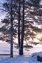 A Finnish Lake Landscape in Shades of Winter Sun Royalty Free Stock Photo
