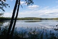 Finnish lake view, landscape with silhouette of tree trunk and grasses from Repovesi National Park