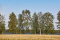 Finnish landscape with forest and lake. Nature summer Finland Royalty Free Stock Photo