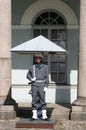 Finnish soldier guarding Presidential Palace in Helsinki, Finland Royalty Free Stock Photo