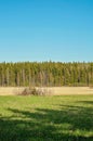 Finnish Summer as it is! Beautiful nature in Finland includes lots of fields and forests Royalty Free Stock Photo