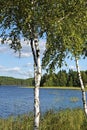 Finnish summer lake landscape, Punkaharju Royalty Free Stock Photo