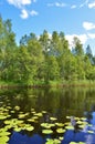 Finnish summer in Puolanka, northern Kainuu