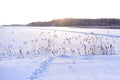 A Finnish Winter Lake Landscape in Shades of Snow Royalty Free Stock Photo