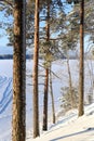 A Finnish Winter Lake Landscape in Shades of Snow Royalty Free Stock Photo