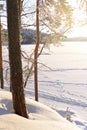 A Finnish Winter Lake Landscape in Shades of Snow Royalty Free Stock Photo