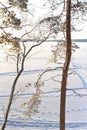 A Finnish Winter Lake Landscape in Shades of Snow Royalty Free Stock Photo