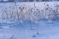 A Finnish Winter Frozen Lake Landscape in Shades of Snow Royalty Free Stock Photo