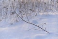 A Finnish Winter Lake Landscape in Shades of Snow Royalty Free Stock Photo