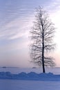 A Finnish Winter Wonderland in Shades of Snow Royalty Free Stock Photo