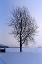 A Finnish Winter Wonderland in Shades of Snow Royalty Free Stock Photo