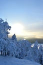 Finnisht winter, Kuusamo. Landscape from Konttainen.