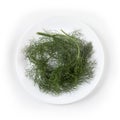 Finocchietto selvatico - Foeniculum vulgare - Fennel, Small Branches on a Glossy White Ceramic Plate Royalty Free Stock Photo