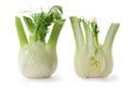 Fennel cut in half Royalty Free Stock Photo