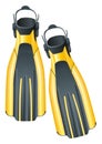 Fins Royalty Free Stock Photo