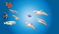 Abstract blue background with fish for web design