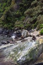 Fiordland National Park. A small herd of fur seals are resting among the stones. South island, New Zealand Royalty Free Stock Photo