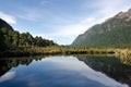 Fiordland - New Zealand