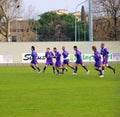 Fiorentina Football Club Royalty Free Stock Photo