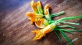 fiori di zucca su legno Royalty Free Stock Photo