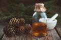 Pine essential oil in a glass bottle, spruce cones, coniferous tree branches and mortar.