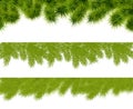 Fir borders