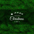 Fir branch backdrop design. Christmas decoration element. Green colorful pine pattern. New Year tree branches background. Vector Royalty Free Stock Photo