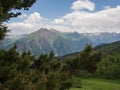 Fir branch on a background of the Caucasus Mountains Royalty Free Stock Photo