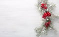 Fir branch with Christmas decoration on white shabby wooden board.