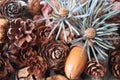 Fir branch and cones