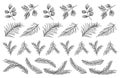 Fir branch evergreen tree seamless pattern set