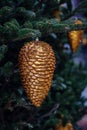 Fir Branch With Gold Pine Cone - Christmas Holidays Background Royalty Free Stock Photo